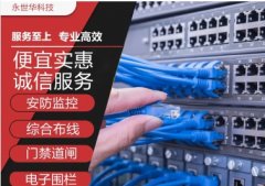 上门有质保监控安装网络布线/维护无线网 电子围栏安装